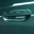 Bay Leaf Green Metallic