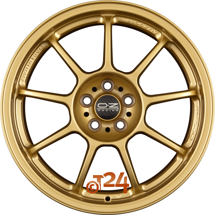 ALLEGGERITA HLT|Race Gold 17