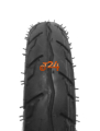 P231