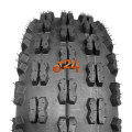 P313