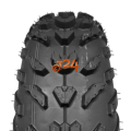 P421