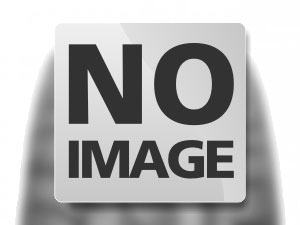 STESTARTIKEL ONLINE (FOR TESTING PURPOSE ONLY !)
