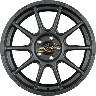 TEAM DYNAMICS PRO RACE LT Matt Graphit — Grijs/antraciet lichtmetalen velg