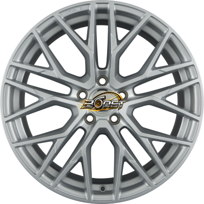 CA20 LUDWIG White Silver (WS)