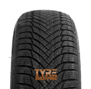 MINERVA       205/55 R16 91H M+S FROSTRACK HP