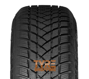 GT-RADIAL     205/60 R16 96H XL M+S WINTERPRO 2