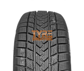 GRIPMAX E-WINTER 225/45 R17 94 V XL