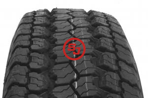 GOODYEAR WR ATS 205 R16C 110S