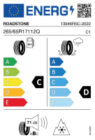 EU-label voor ROADSTONE WINGUARD ICE SUV 